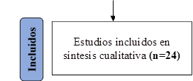 Estudios incluidos en síntesis cualitativa (n=24),Incluidos
